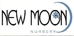 New Moon Nursery
