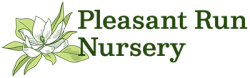 Pleasant Run Nursery 