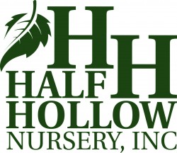 Half Hollow Nursery